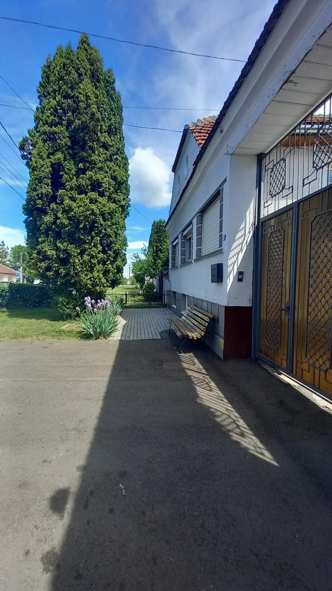 Pensiunea Magnolia Prejmer Bagian luar foto