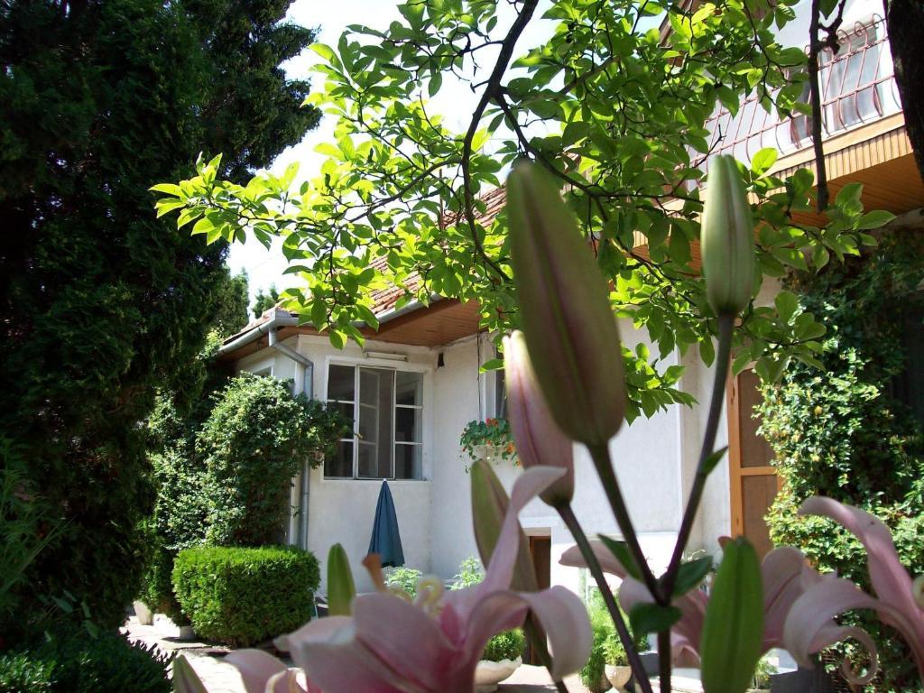Pensiunea Magnolia Prejmer Bagian luar foto
