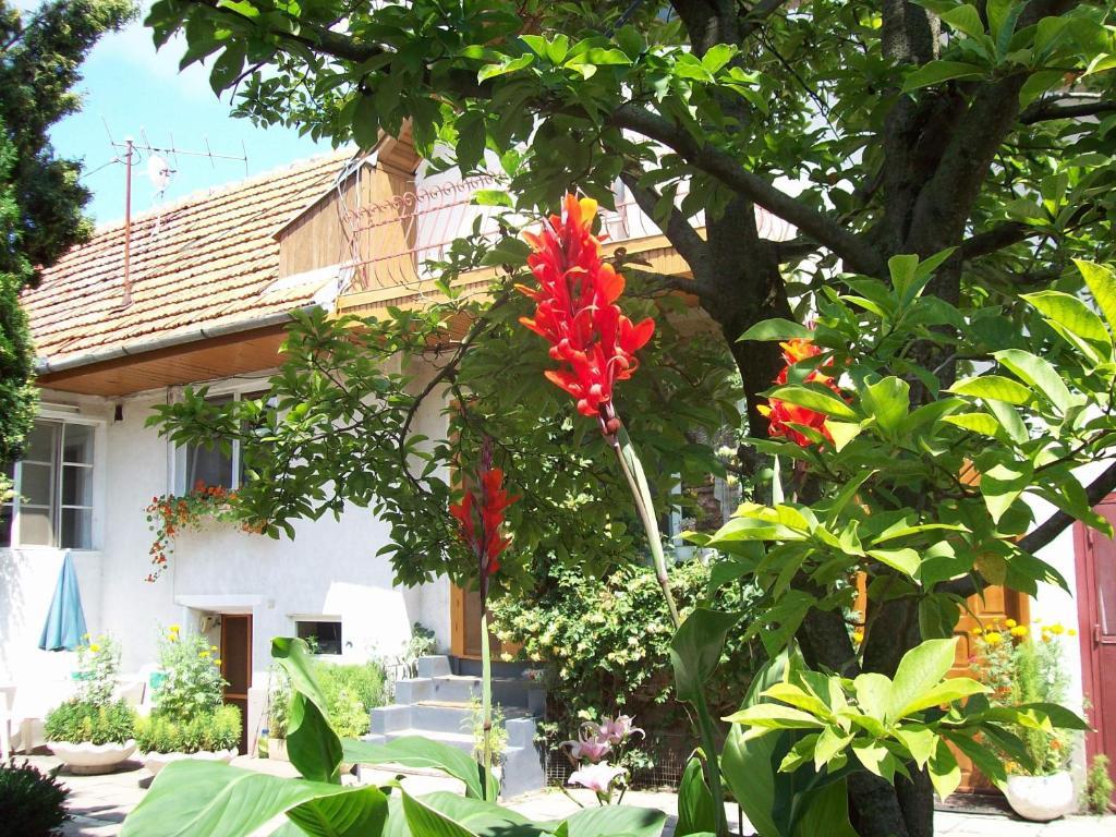Pensiunea Magnolia Prejmer Bagian luar foto