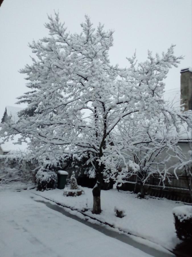 Pensiunea Magnolia Prejmer Bagian luar foto